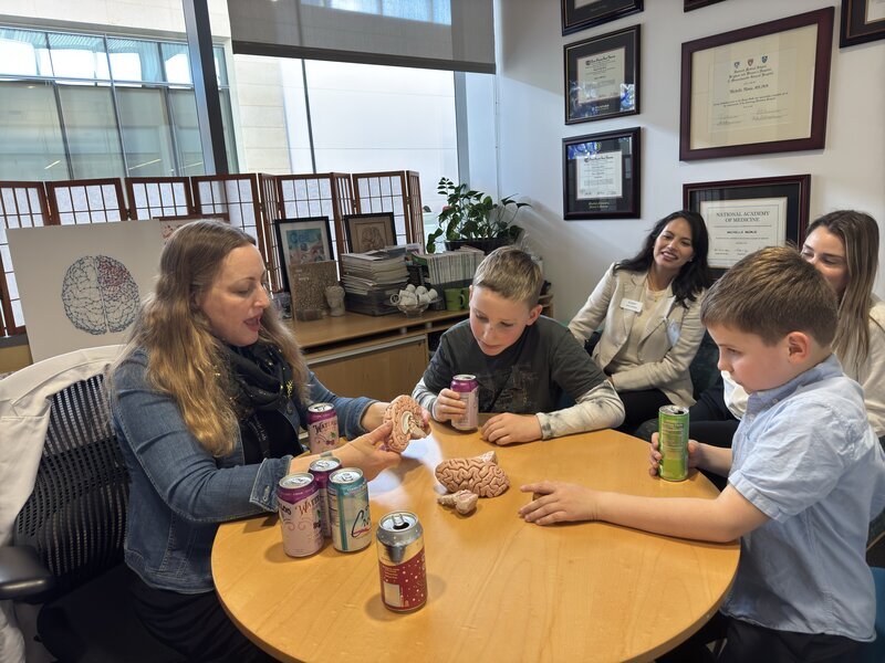 Dr. Monje guiding Max and Cyrus Weekly with a model of the human brain